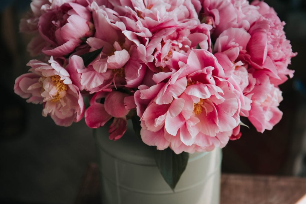 How to thrive with an empty nest - what to do after the kids leave home