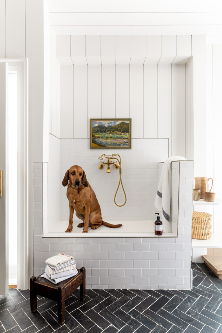A sweet pup in his very own pet shower - House of Jade