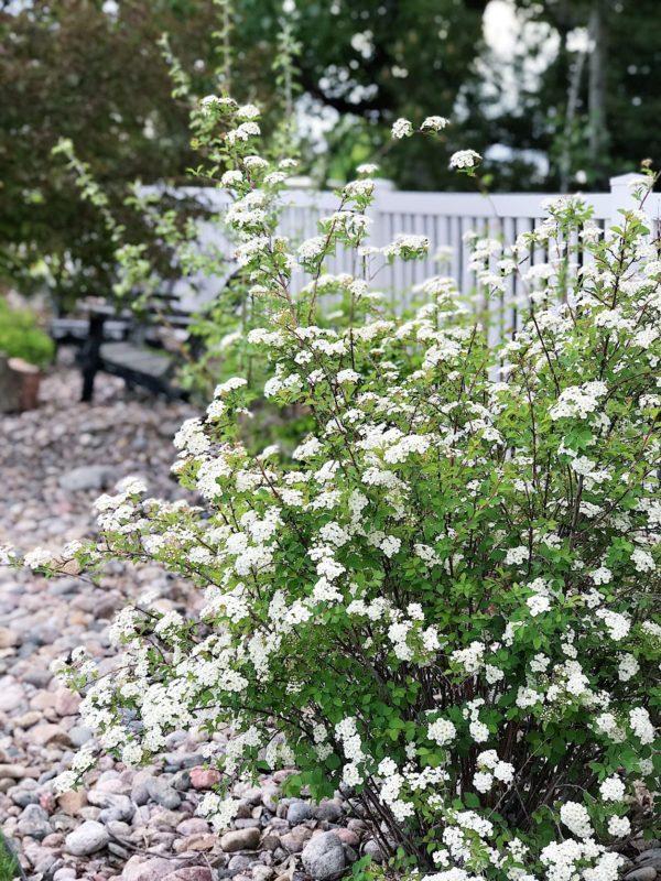 Simple landscape border ideas and landscaping for the front of the house and around the yard to increase the curb appeal of your home - jane at home