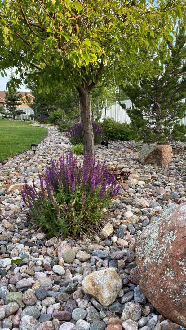 Simple landscape border ideas and landscaping for the front of the house and around the yard to increase the curb appeal of your home - jane at home