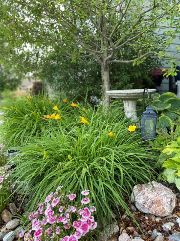 Simple landscaping ideas for the front of the house and backyard - jane at home
