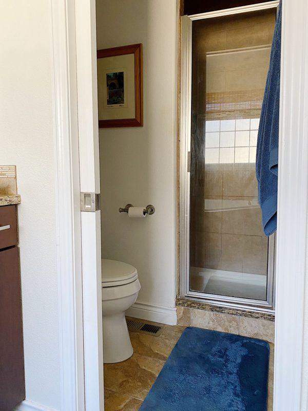 Our master bathroom remodel - jane at home