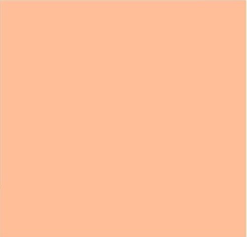 pantone color of the year 2024 peach fuzz