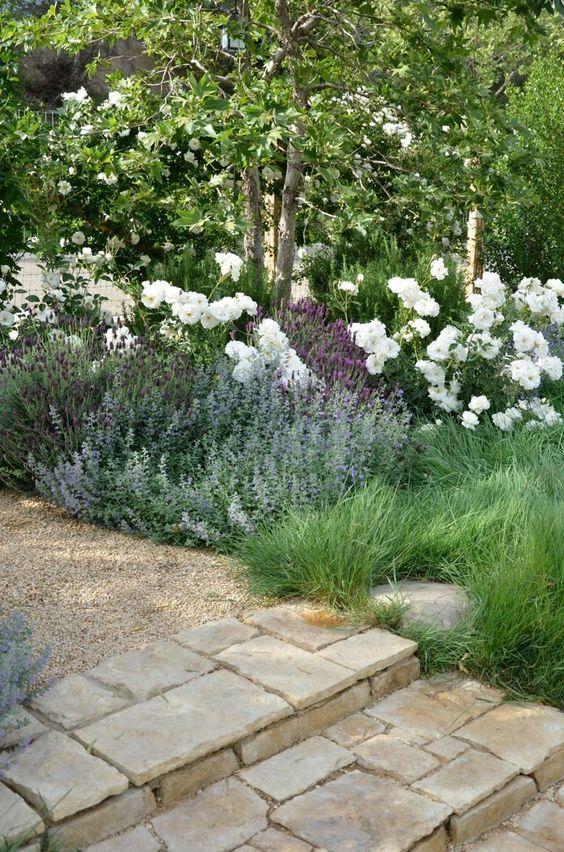 giannetti home - flower border garden landscaping back yard