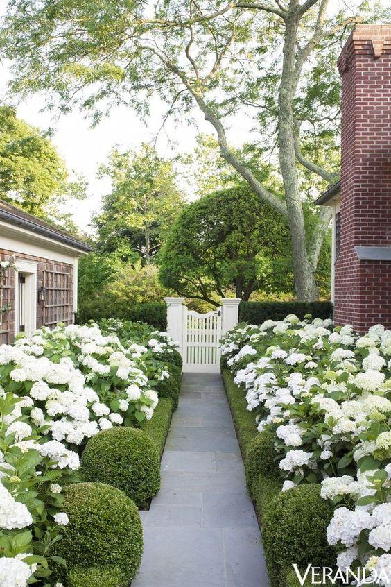 veranda magazine front yard landscaping hydrangea borders