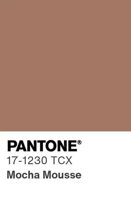 pantone color of the year 2025 - mocha mousse