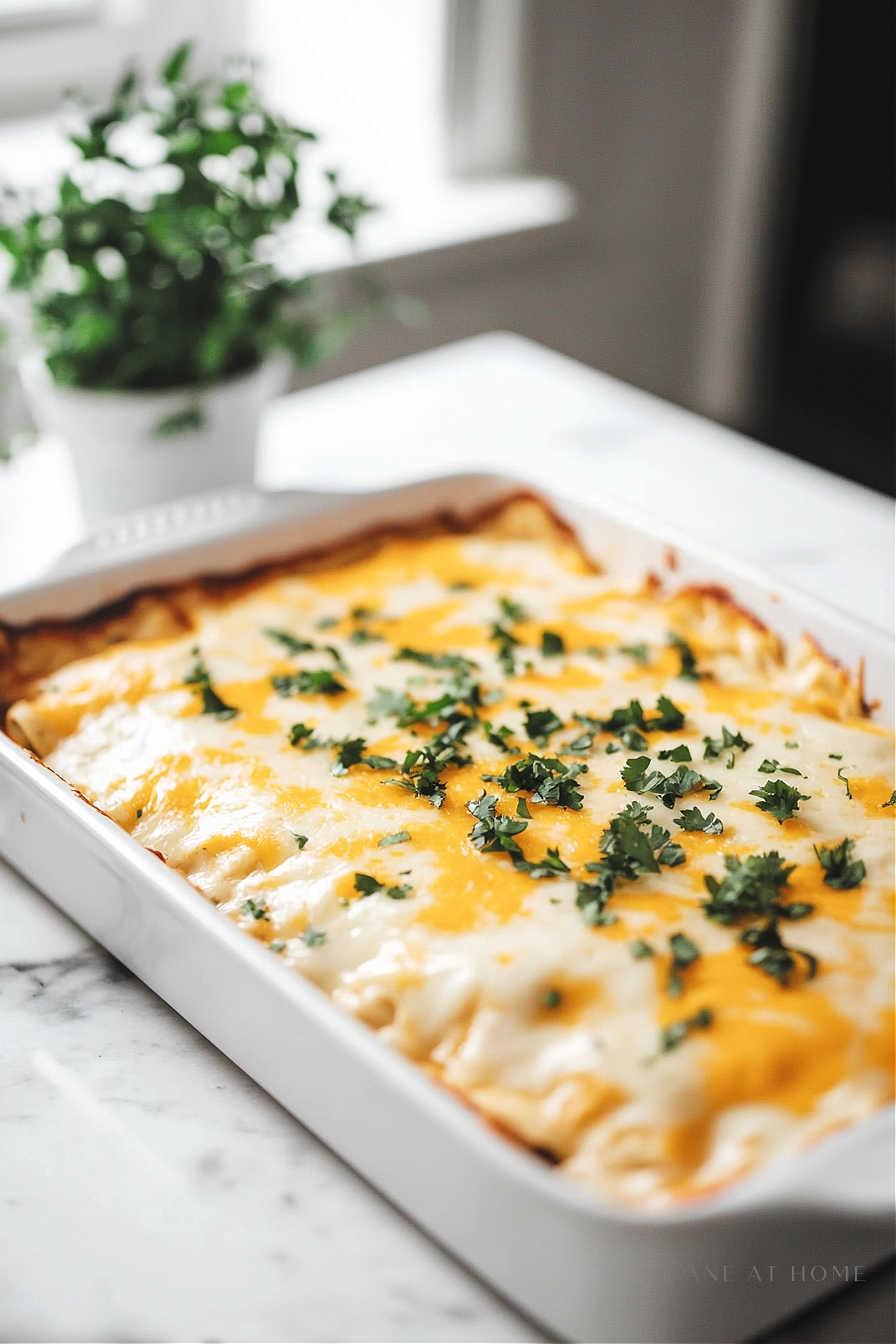 The best creamy stacked chicken enchilada recipe with green sauce, sour cream, tortillas, and lots of cheese. So quick and easy--perfect for weeknight dinners or feeding a crowd! - Jane at Home